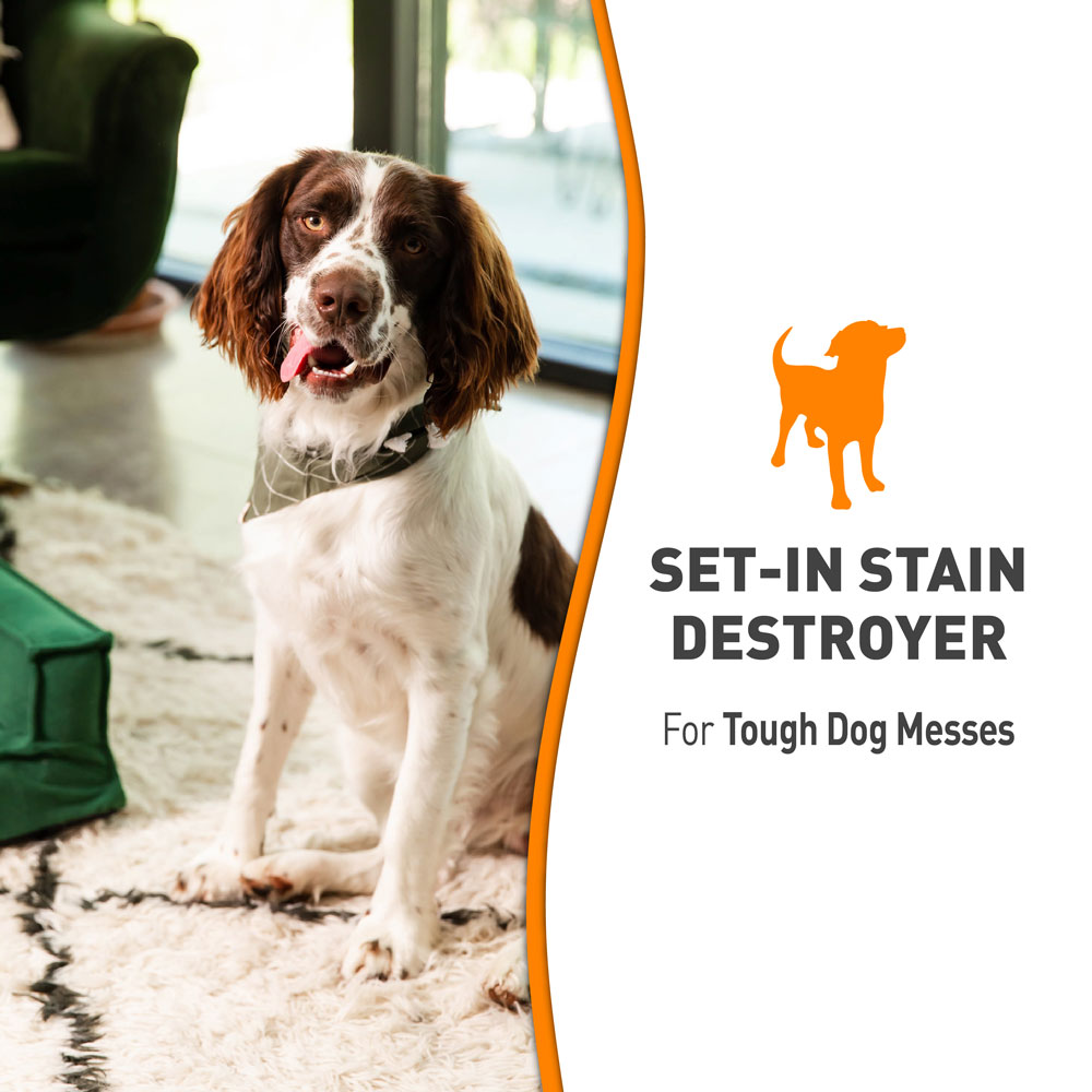 Nature's miracle set in stain destroyer cat sales